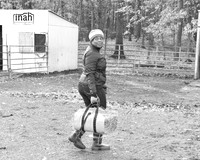 Petti Horse Farm