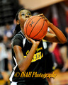 Central Jersey Rebels
