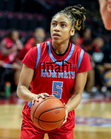 Delaware State Hornets